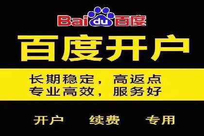 SEM网络推广案例：打造行业影响力品牌